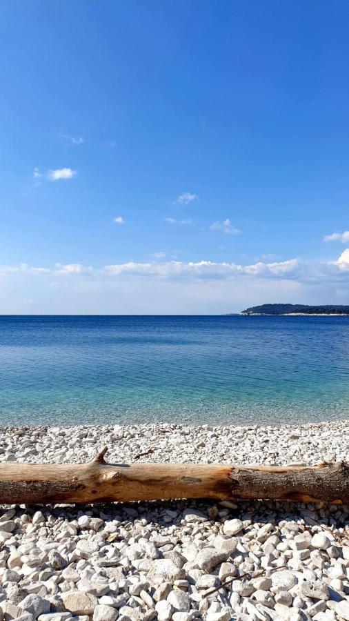 Calm Sea View Apartment Баньоле Екстериор снимка